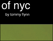 website: Skies of NYC